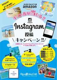 アクアマリンオーシャンツアーズ